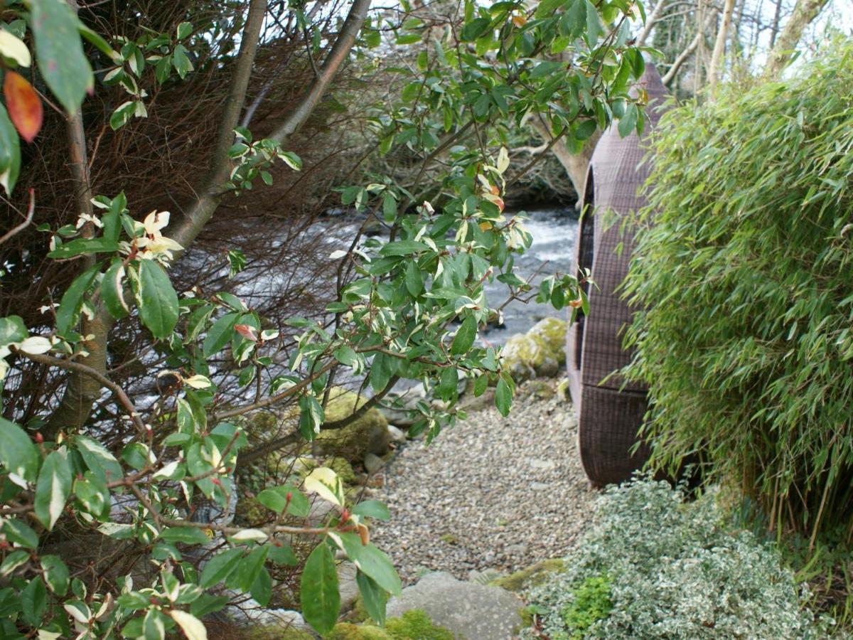 Talybont Bed And Breakfast Barmouth Zewnętrze zdjęcie